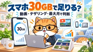 スマホ30GBで足りる?。動画・テザリング・最大月で判断